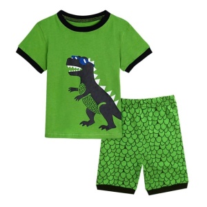 Modieus groen dinosaurus t-shirt en korte broek voor jongens