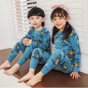 Lente blauwe dinosaurus pyjama voor kinderen met twee kinderen die de pyjama dragen